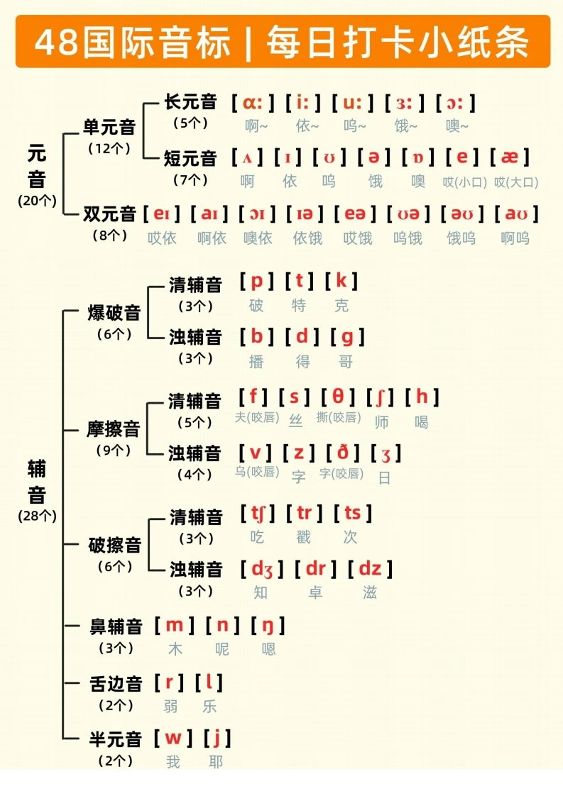 48国际音标每日打卡小纸条-学芽网