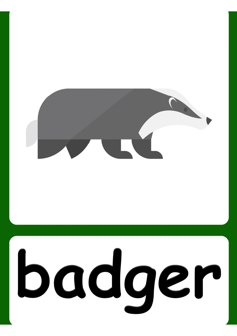 Forestsanimalflashcards-学芽网