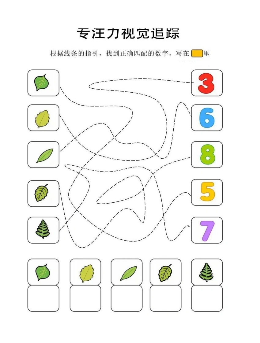专注力视觉追踪