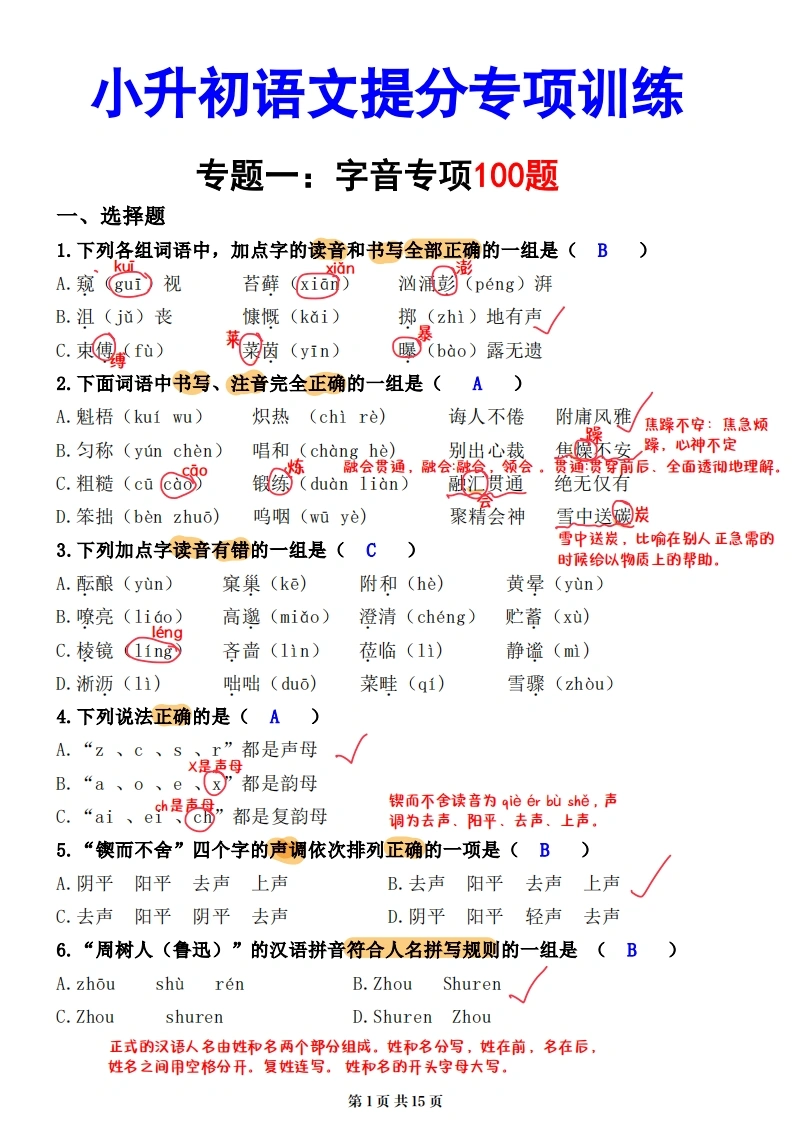 小升初语文提分专练01字音解析（15页)-学芽网