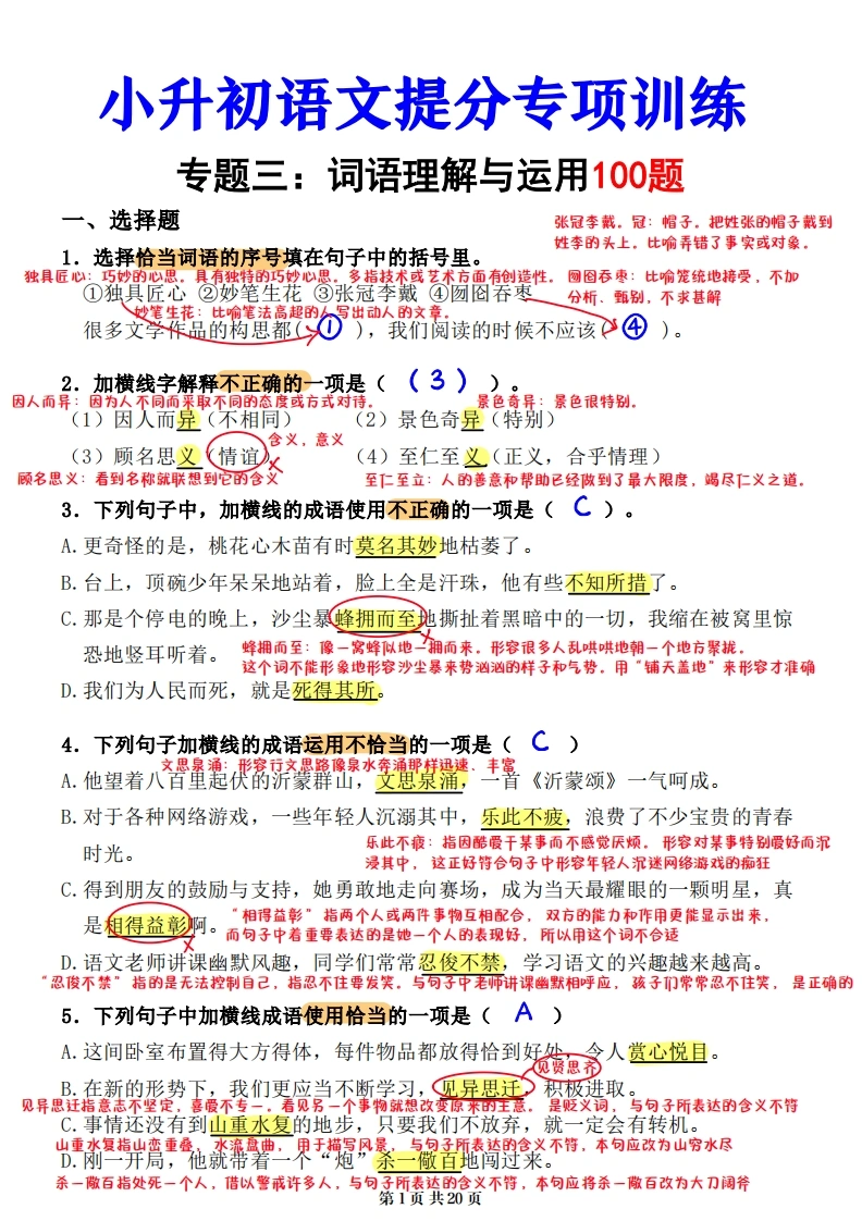 小升初语文提分专练03词语理解与运用解析（20页）-学芽网